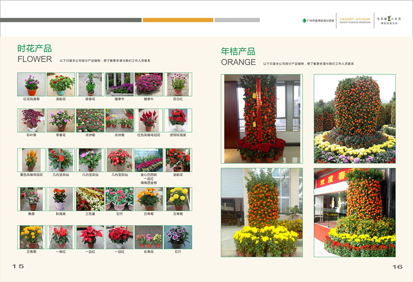 廣州花場苗木畫冊(cè)設(shè)計(jì),花場苗木畫冊(cè)設(shè)計(jì)公司
