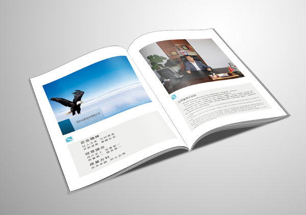 怎樣才是一本好的畫冊？