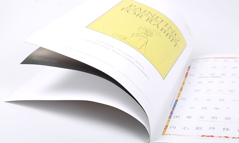 精美畫冊設(shè)計(jì)印刷-精美畫冊設(shè)計(jì)印刷公司