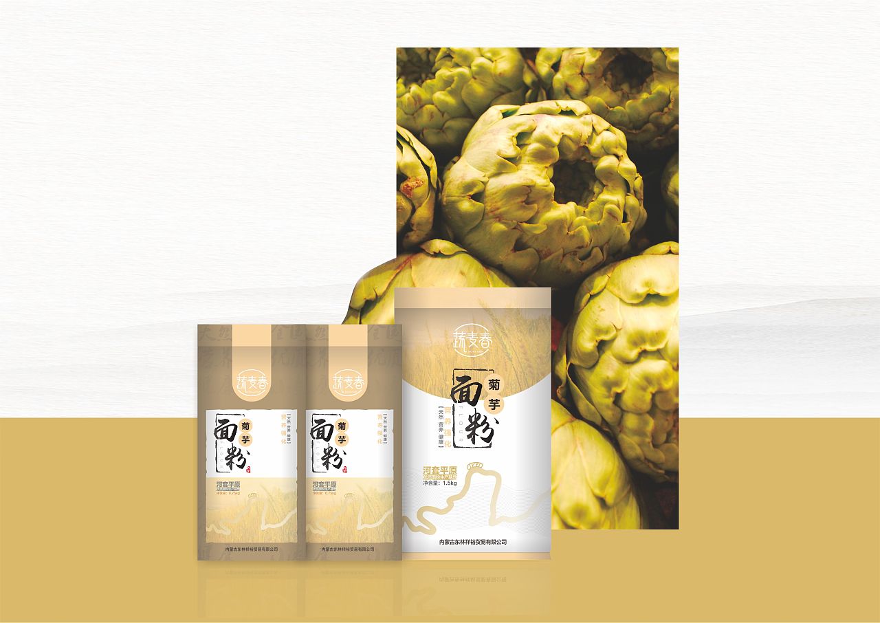 包裝設計專業(yè)能考公務員嗎