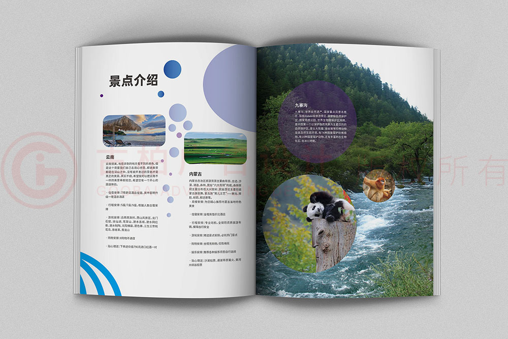 畫冊(cè)設(shè)計(jì)-清新簡(jiǎn)約畫冊(cè)設(shè)計(jì)公司