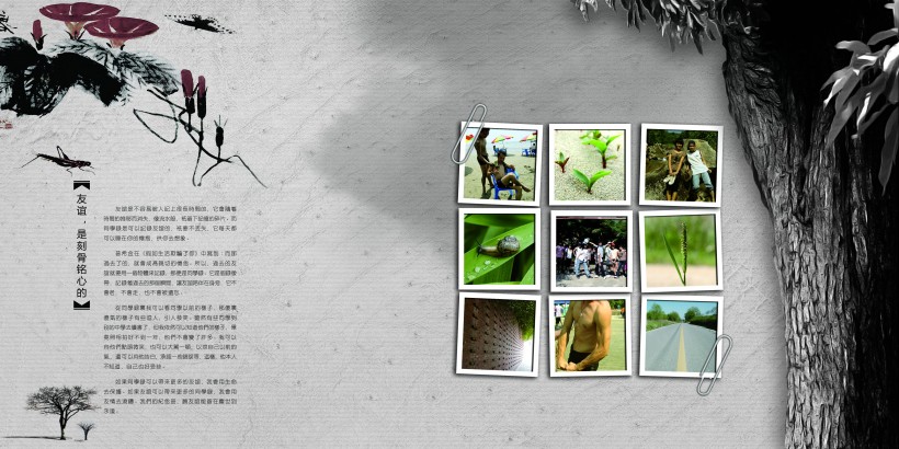 紀(jì)念冊的幾大類表現(xiàn)形式